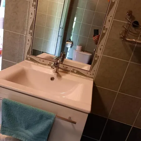 Mezesvoelgy Vendeghaz בית הארחה